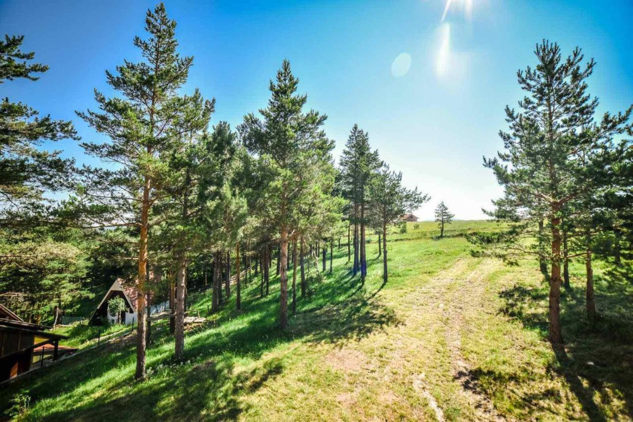 Ng Apartmani Tornik Златибор Екстериор снимка